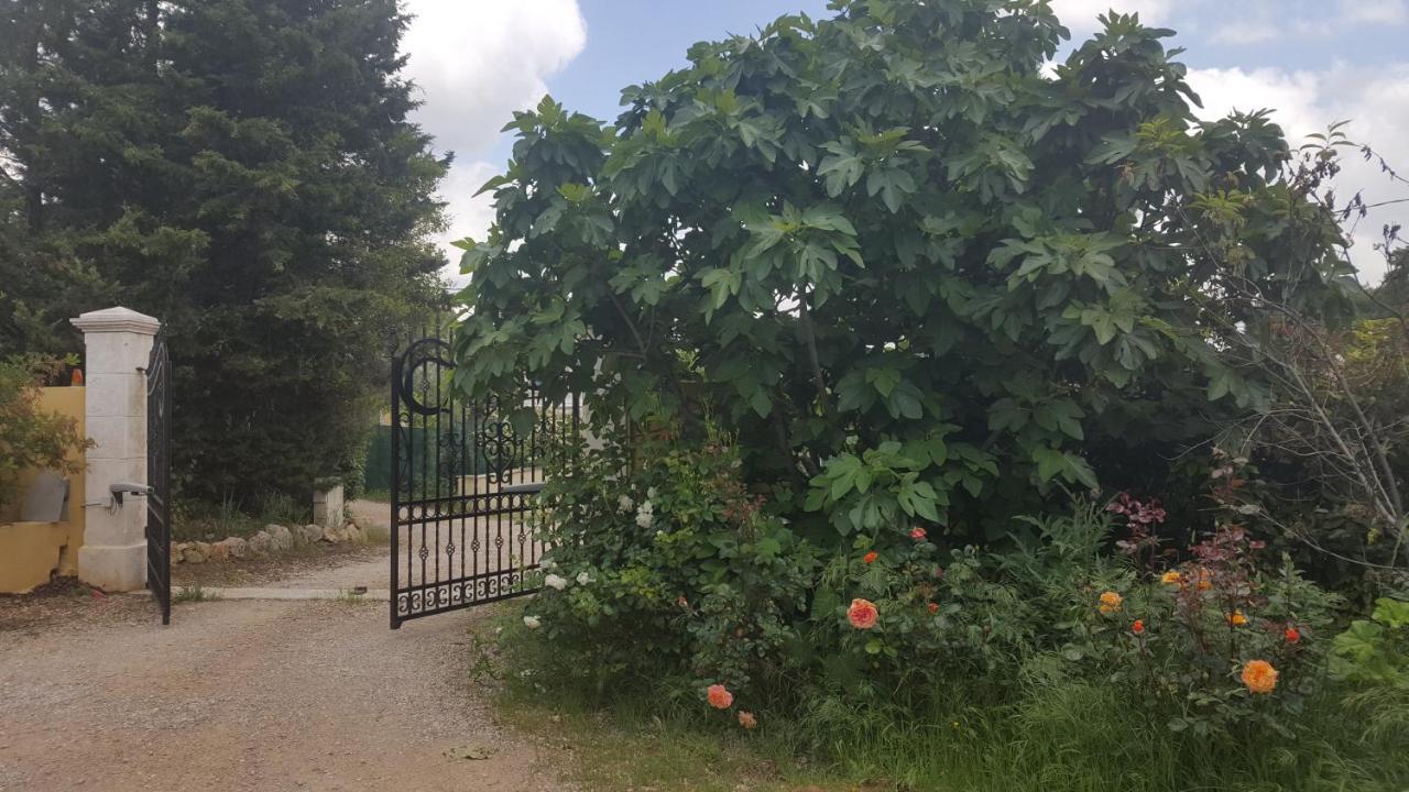 La Villa Provencale Lorgues Eksteriør bilde