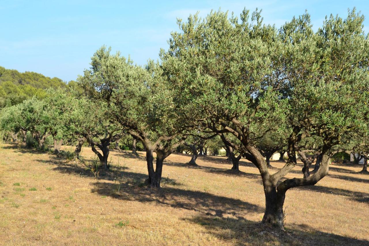 La Villa Provencale Lorgues Eksteriør bilde